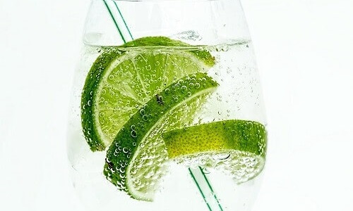 The Perfect Gin and Tonic Recipe in 6 Easy Steps