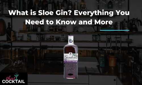 What is Sloe Gin? Everything You Need to Know and More