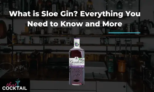 Bottle of sloe gin
