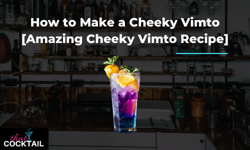 How to Make a Cheeky Vimto [Amazing Cheeky Vimto Recipe]