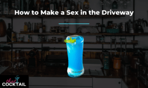 How to Make a Sex in the Driveway [Try our new amazing Sex in the