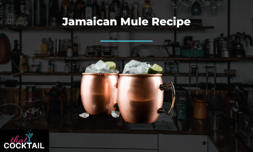 How to make a Jamaican Mule - Try out our quick & easy Jamaican Mule Recipe