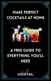 What You Need to Make Perfect Cocktails at Home Guide