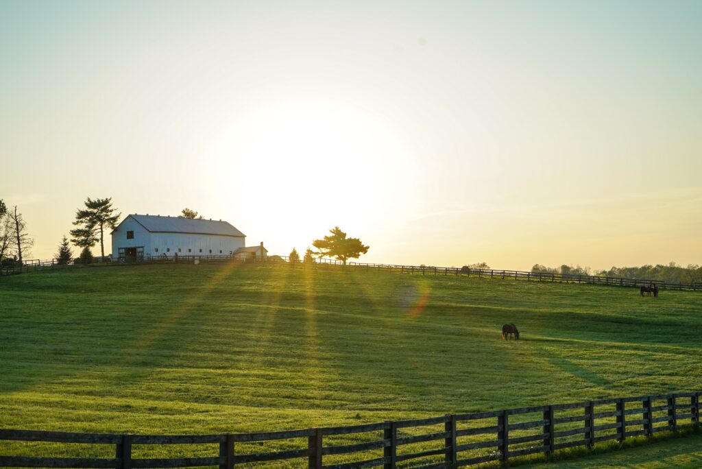 This is a real Kentucky Sunrise