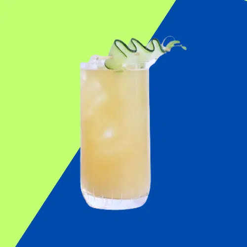 Sloe Gin Fizz in a tall glass with ice and a cucumber ribbon